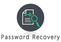 Password Recovery 4.2 密码恢复工具汉化绿色版企业版