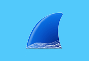 Wireshark 4.6.7 最新版 - 抓包工具