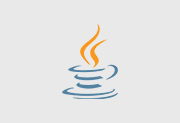 Java Runtime Environment 8.0.503