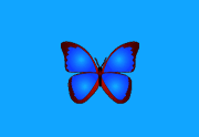 bkViewer 8.8f 最新版 - 看图软件