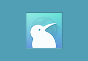 Kiwi浏览器 124.0.6327.2 官方正式版