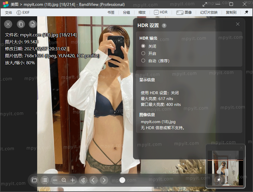 BandiView 7.28 解锁 安装版 magicgenius