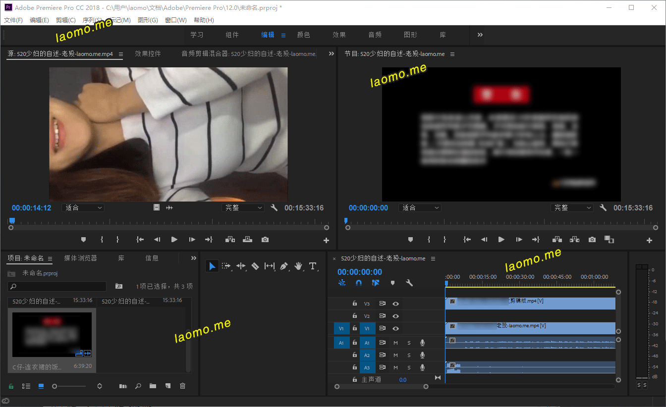 Premiere Pro 2025 25.6.4.005 m0nkrus