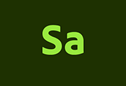 Adobe Substance 3D Sampler v5.1.3 直装版下载 – 材质生成工具