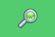 dnGrep v4.7.10.0 x64 多语便携版 – 跨文件文本搜索与替换工具