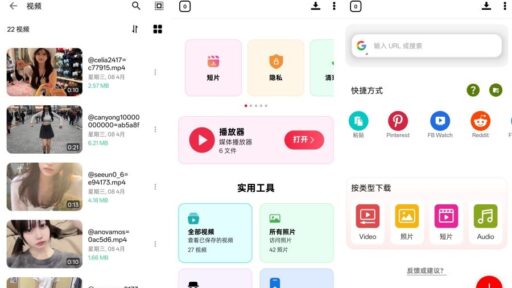 VidFetch v7.0.540一键解析全网平台视频解锁会员版