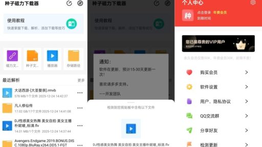 种子磁力下载器1.7.4解锁年费会员不限速下载