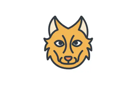 元萝卜-免root使用框架模块&应用多开&虚拟机 v1.0.29