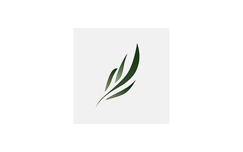 东南小说-免费追书 v1.5.50 去广告纯净版