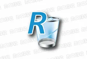 Revo Uninstaller Pro v5.5.2 便携版 – 专业深度卸载工具