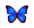 bkViewer v8.8f 绿色版(小巧精悍的数码照片浏览器)