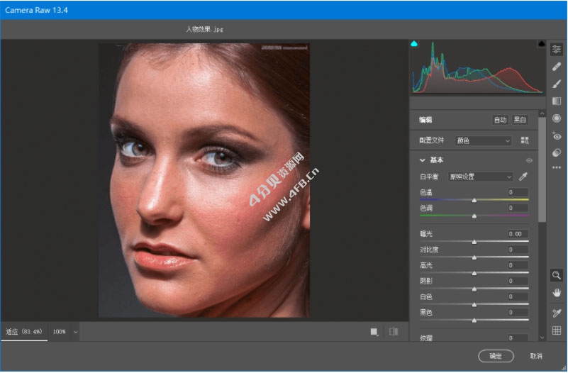 Adobe Camera RAW v18.6 增效工具 Adobe Camera RAW v18.6 增效工具